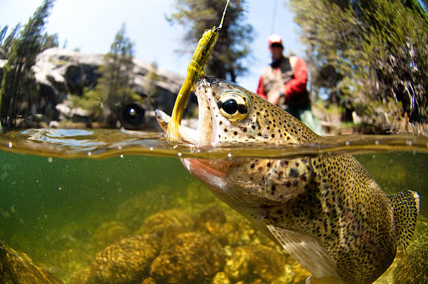 Competitive Fishing
