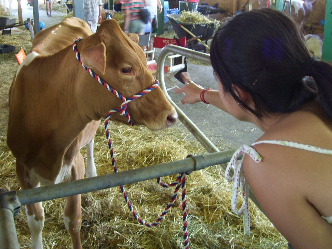 Champlain Valley Fair